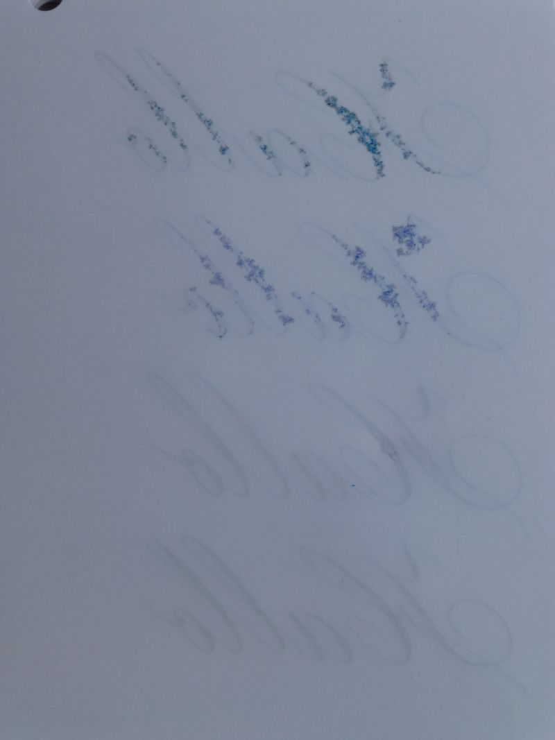 P1010576.jpg