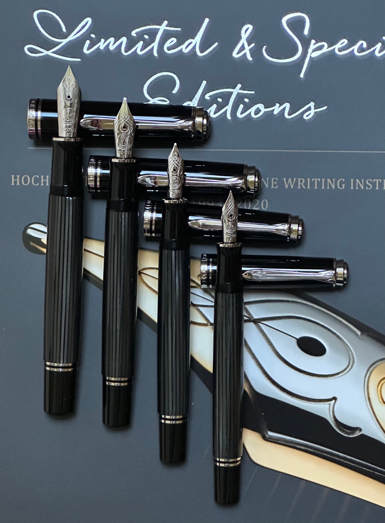 Pelikan  .jpg