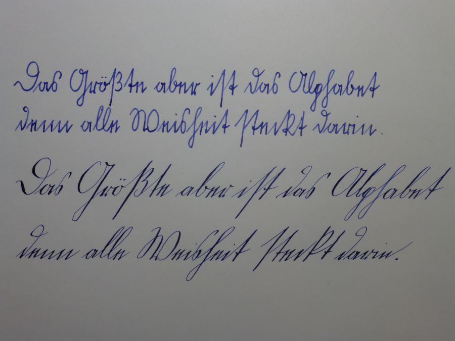 P1010644.jpg