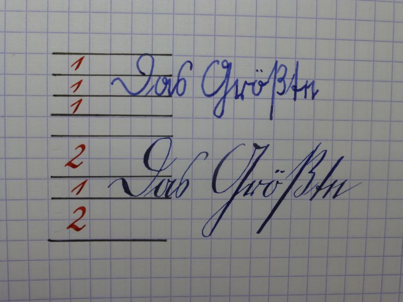 P1010649.jpg