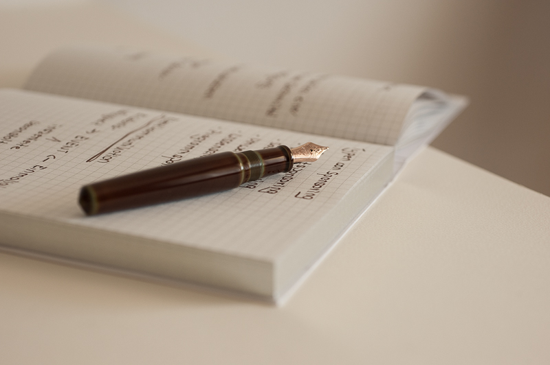 Nakaya-3.jpg