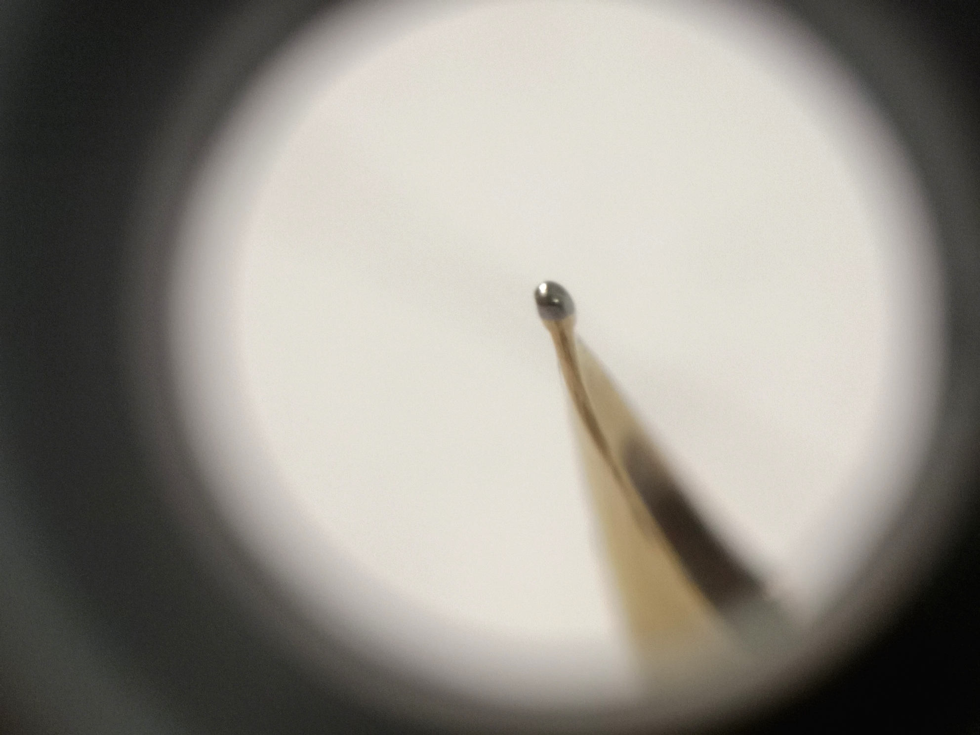 Parker513.jpg