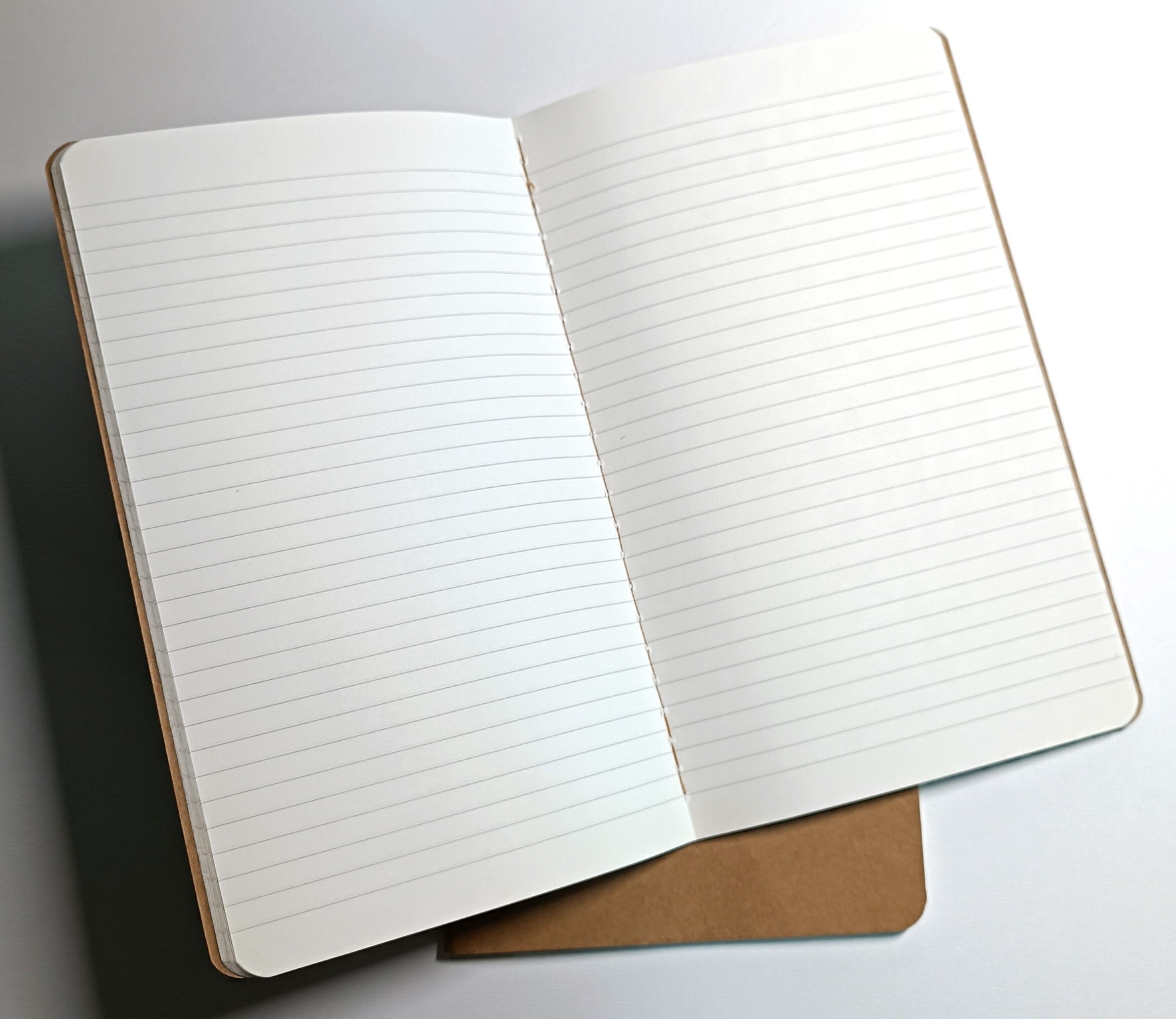 MoleskinCahier_2er_web.jpg