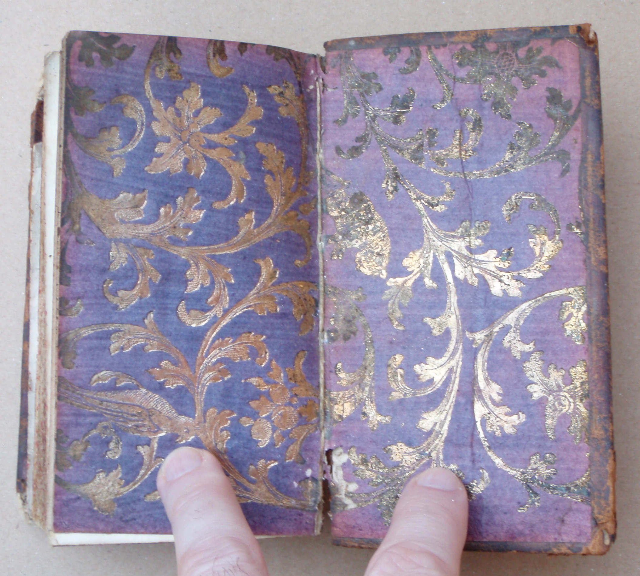 1688_2.JPG