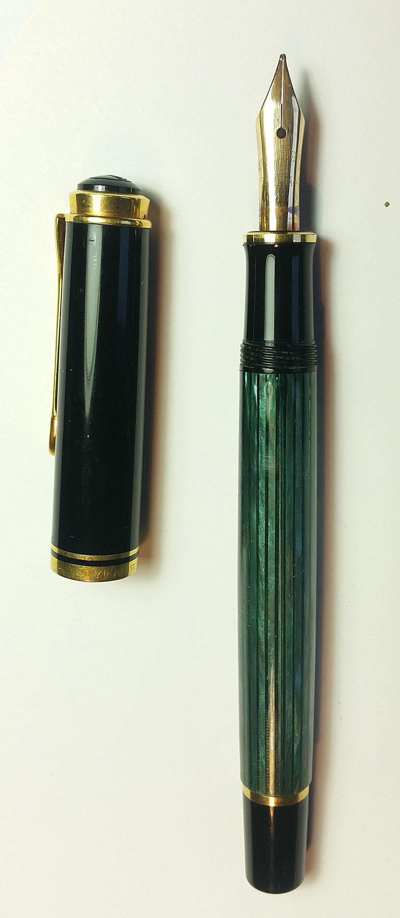 Pel12.jpg