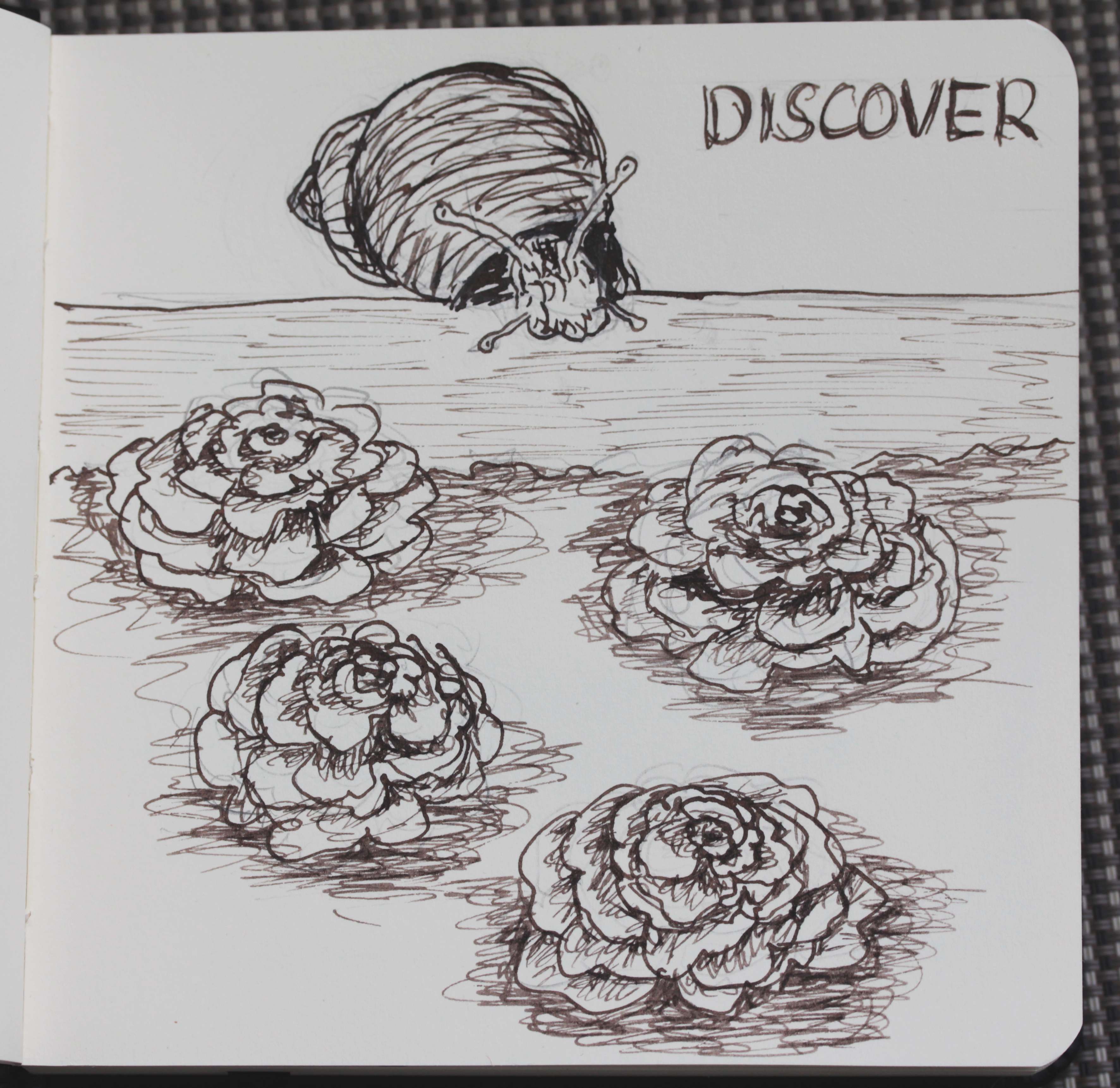 Schnecke Discover.jpg