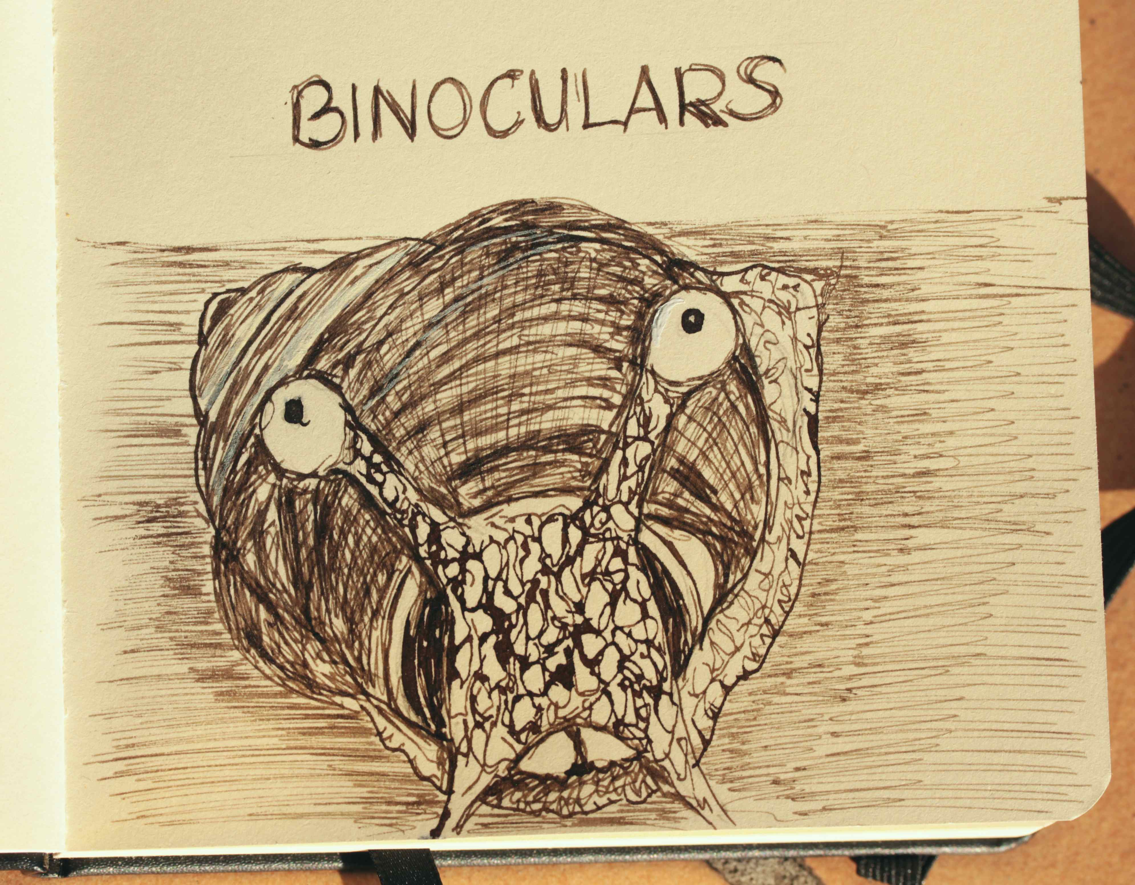 Schnecke Binoculars2.jpg