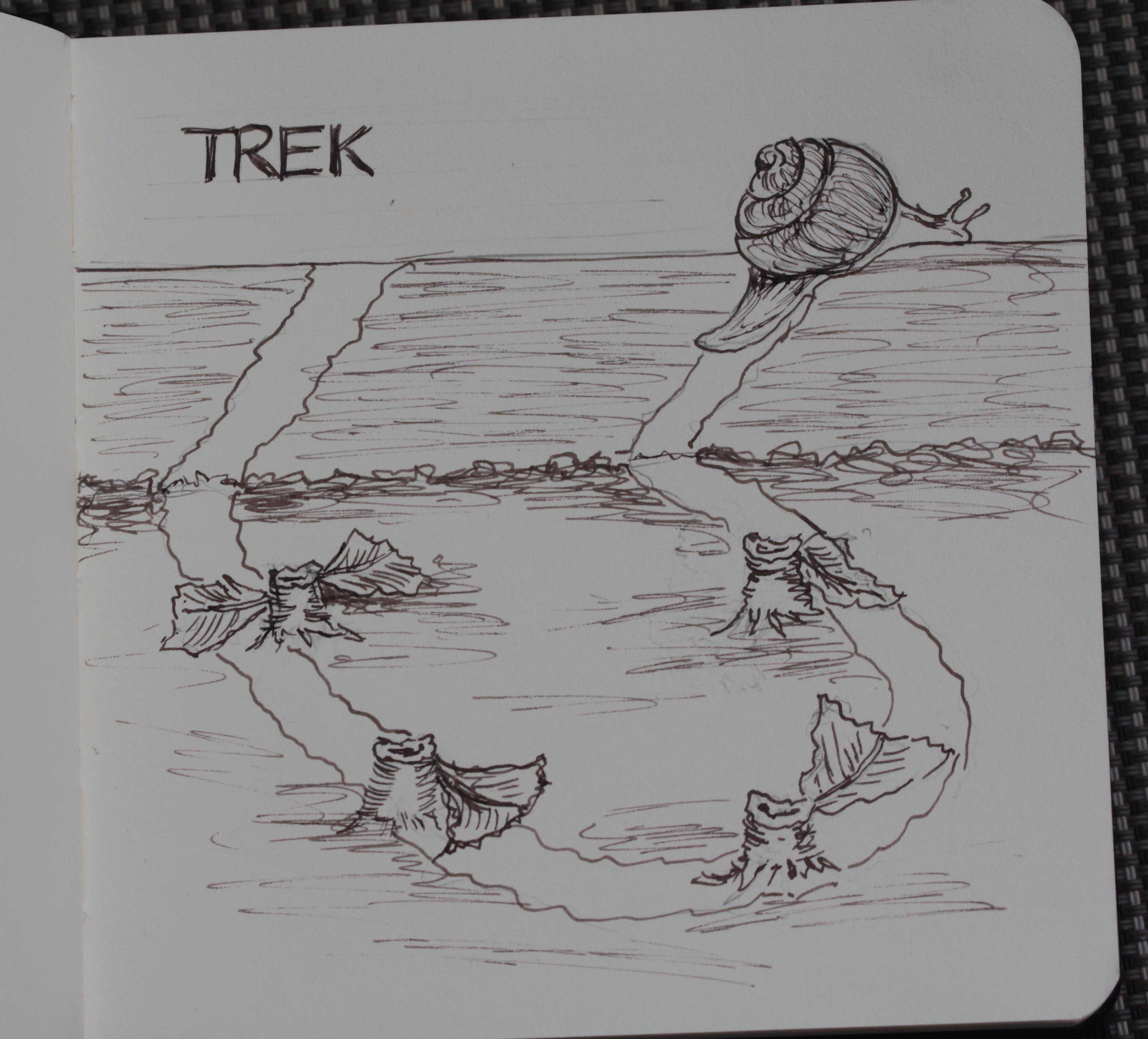 Schnecke Trek.jpg