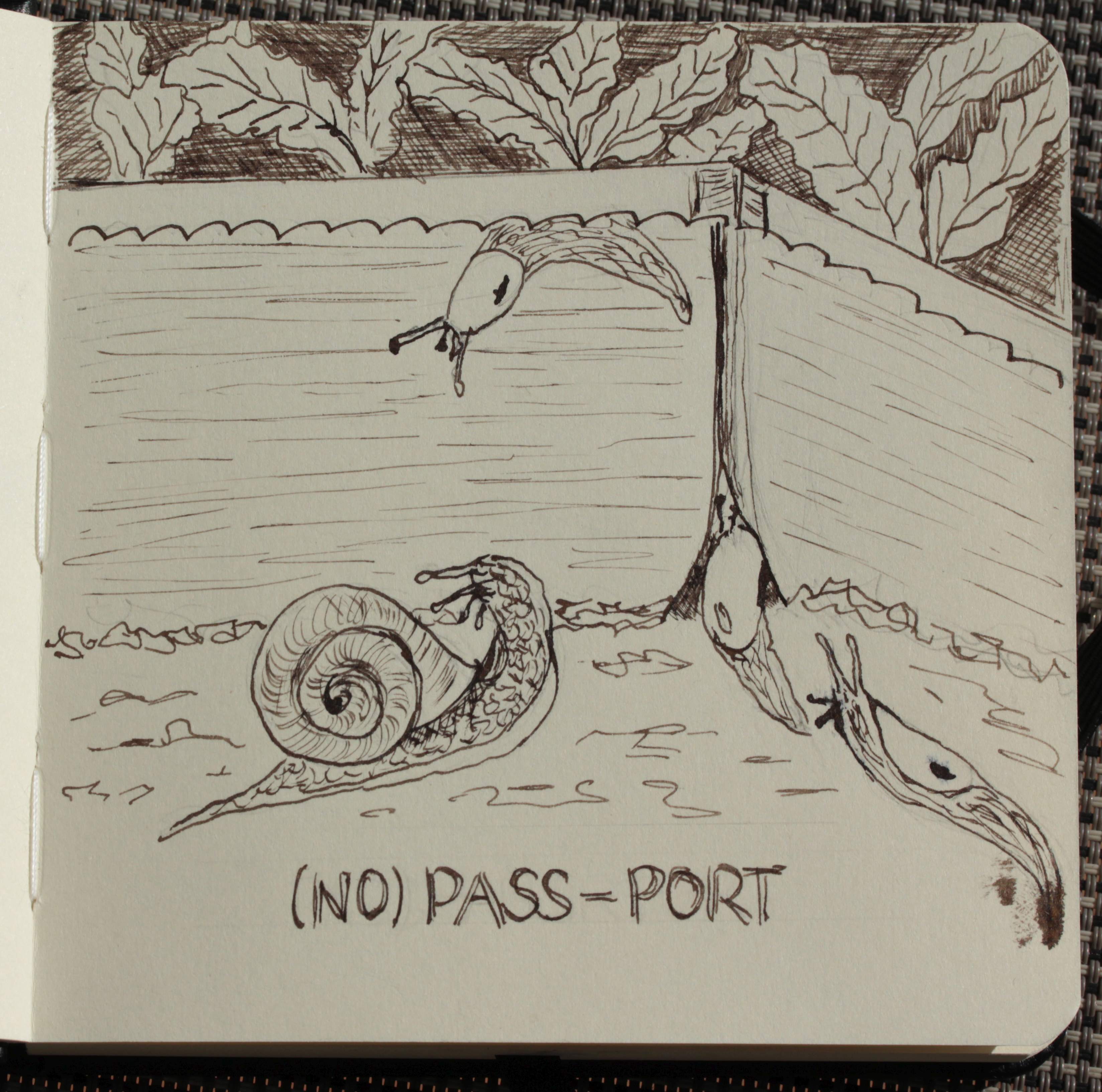 Schnecke Pass-Port.jpg