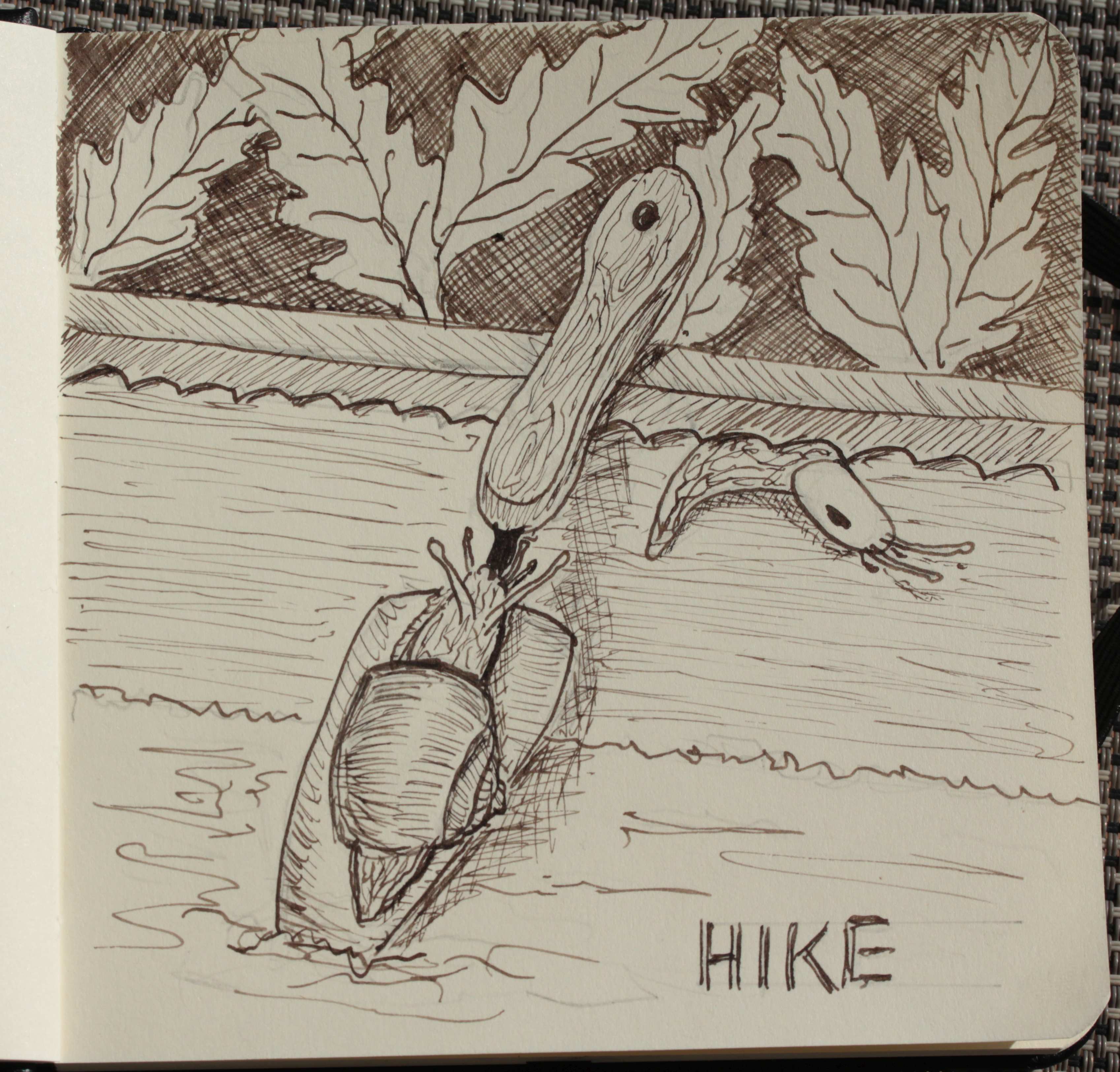 Schnecke Hike.jpg