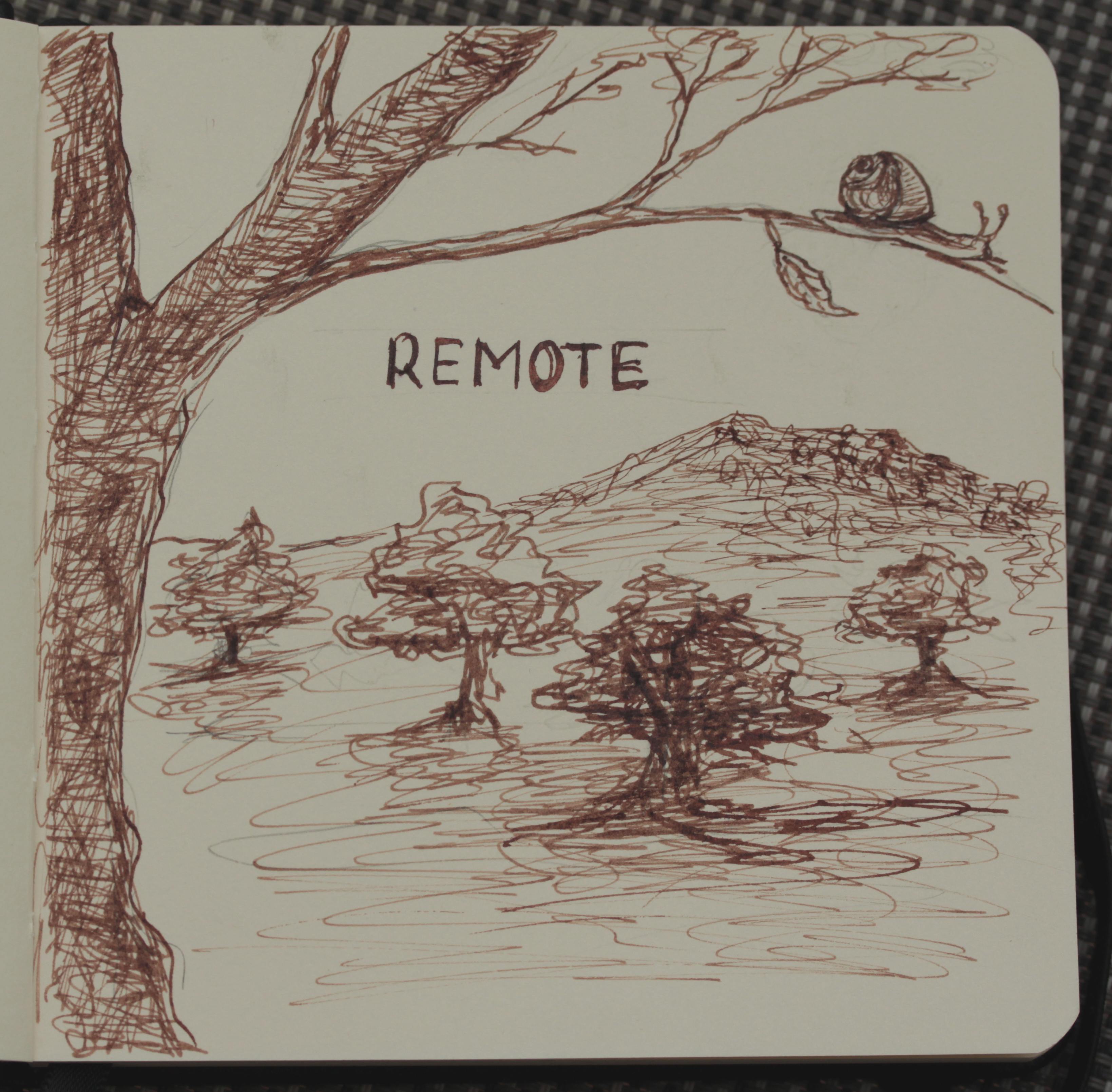 Schnecke Remote.jpg
