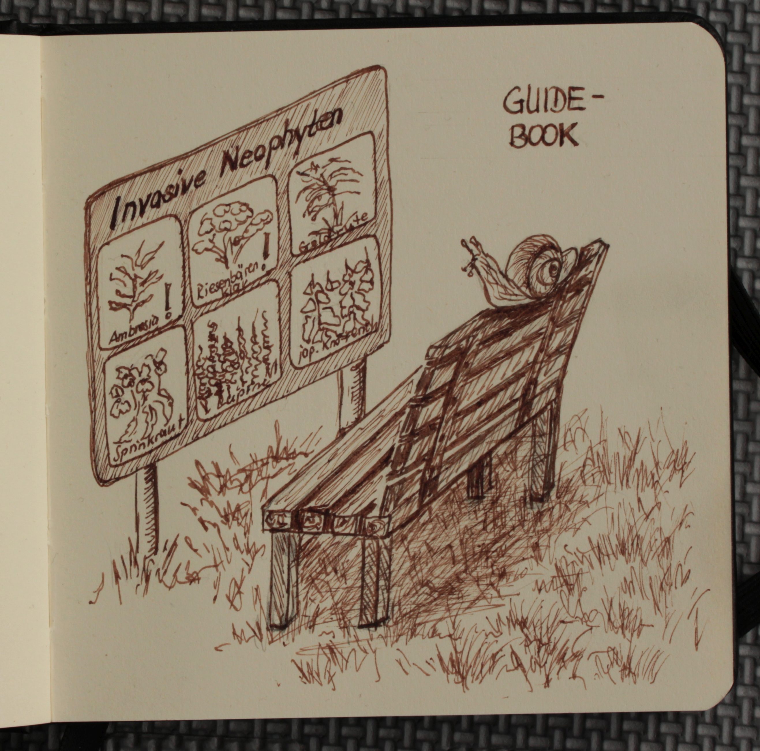 Schnecke Guidebook.jpg
