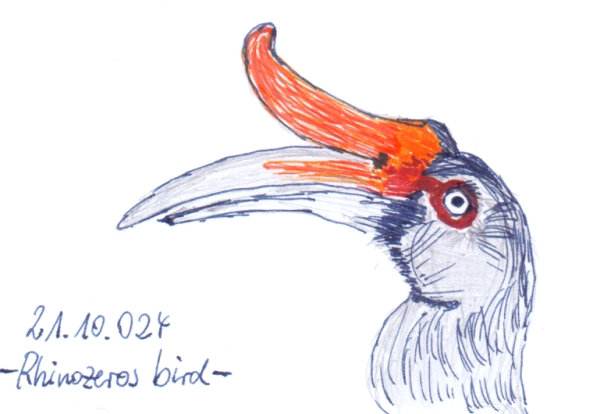 rhinobird.jpg