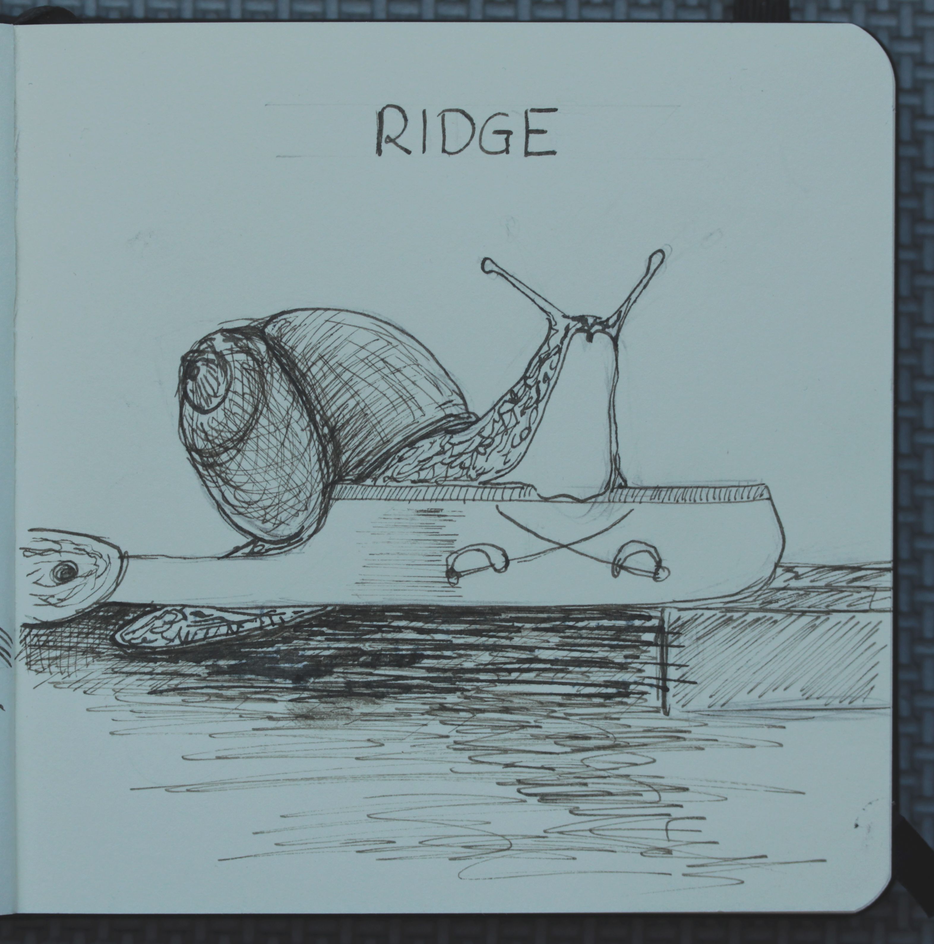 Schnecke Ridge.jpg