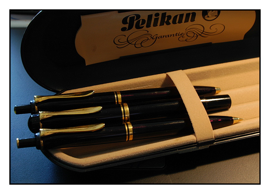 pelikan_03.jpg