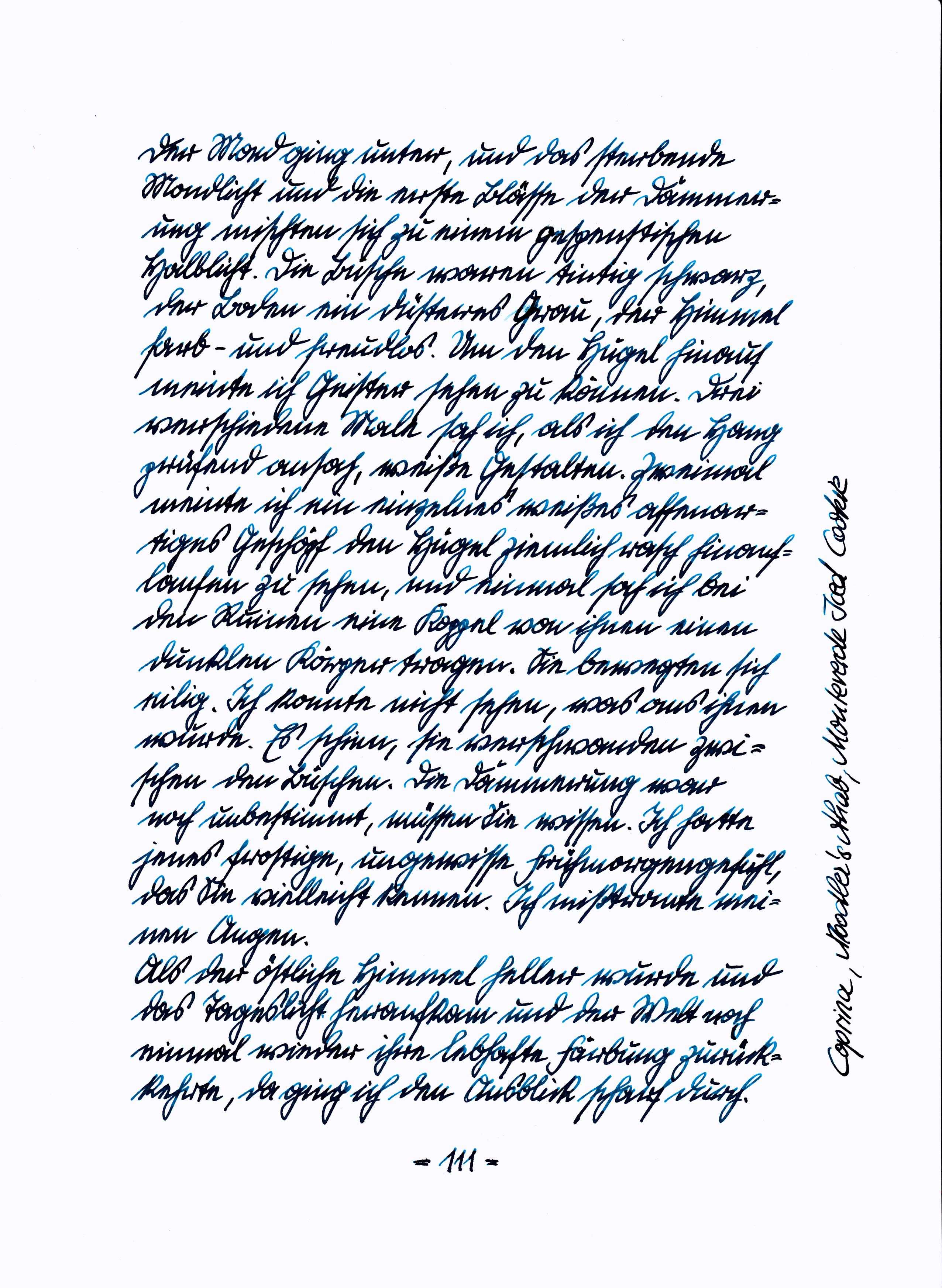 Zeitreisender111 comp.jpg