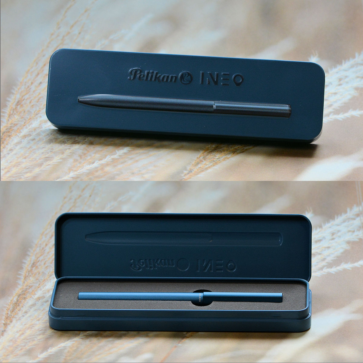PelikanIneo01.jpg