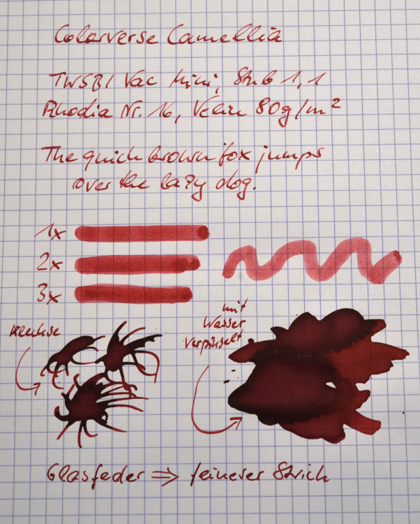 2024-12-15_Camellia-5833_Rhodia-klein.jpg