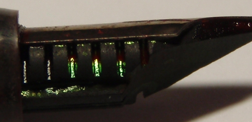 Romus11.jpg