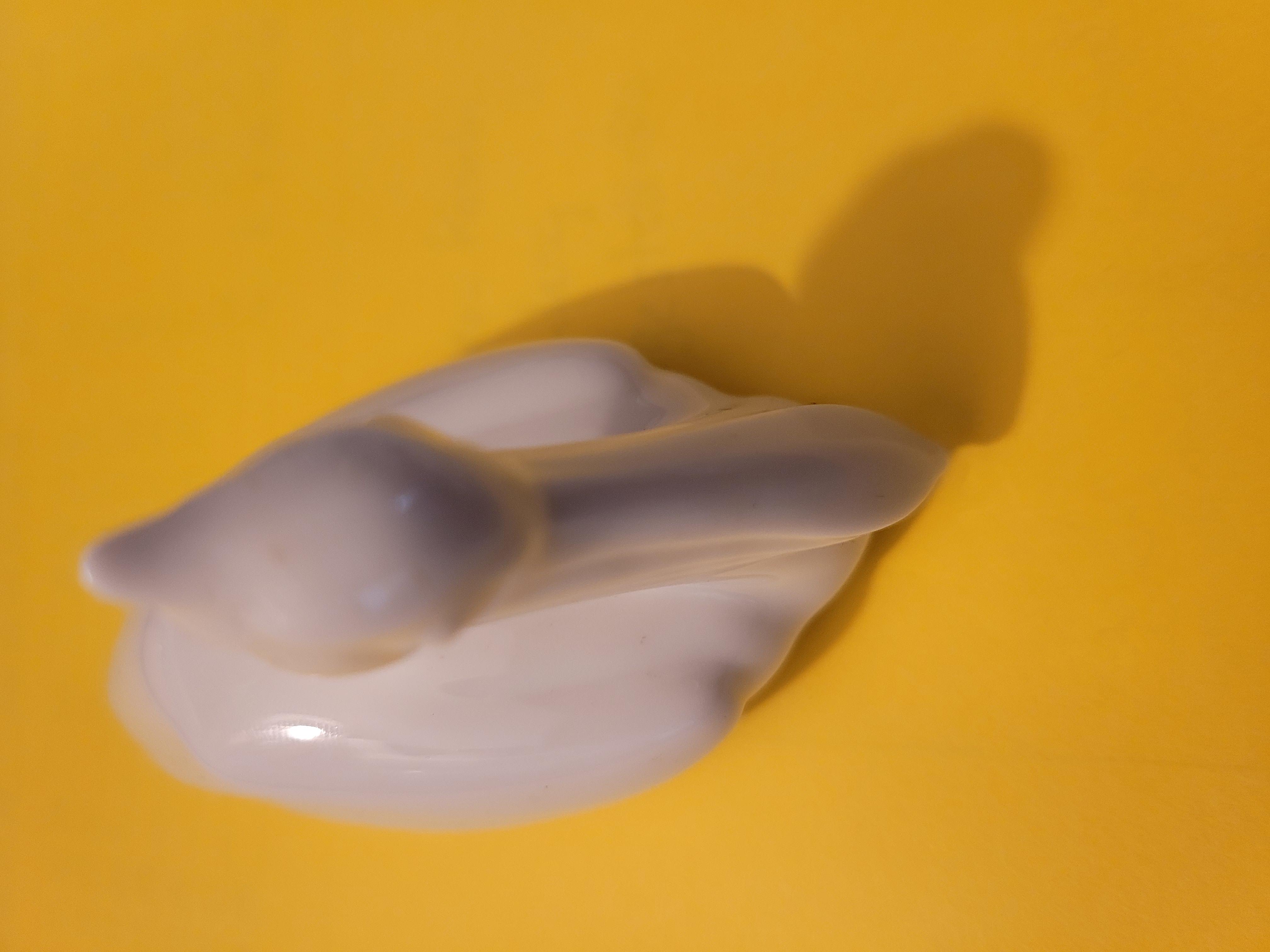20250117_133420b.jpg