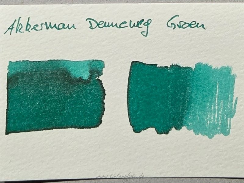 Akkerman_Denneweg-Groen_250124.JPG
