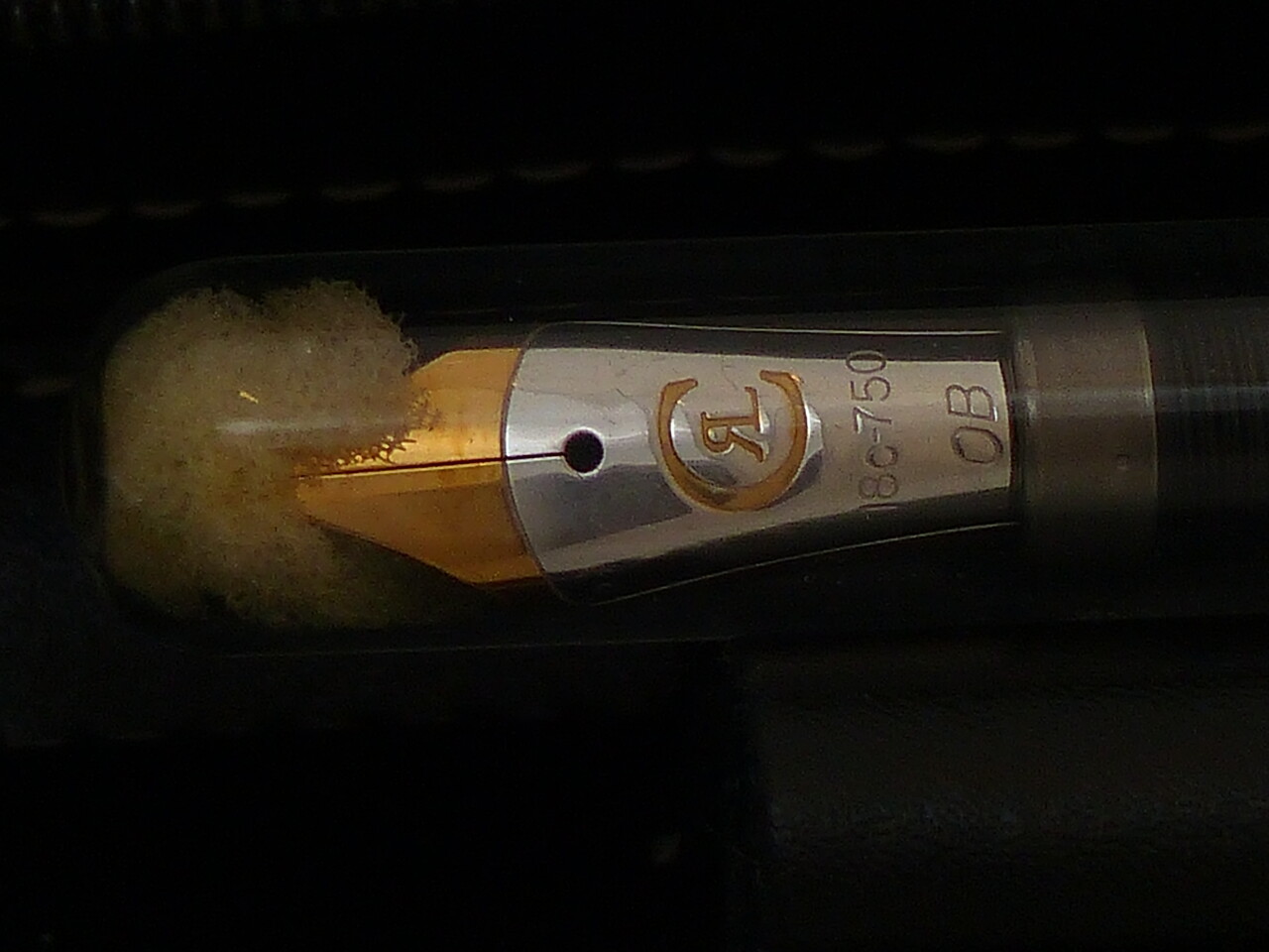 P1190231.jpg