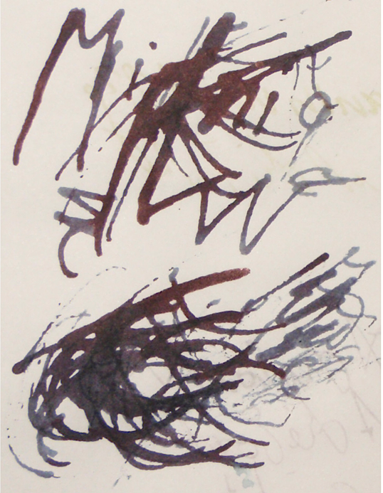 IMG_3385.png