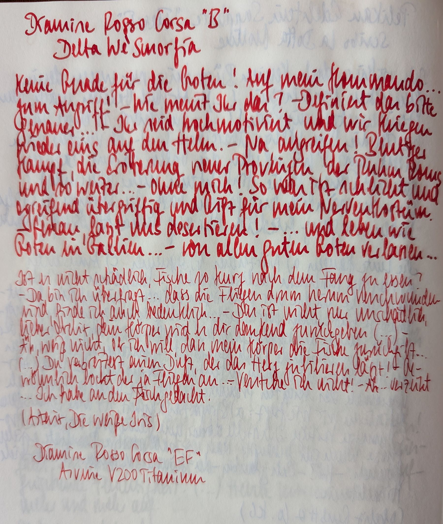 Füller und Tinten_055.jpg