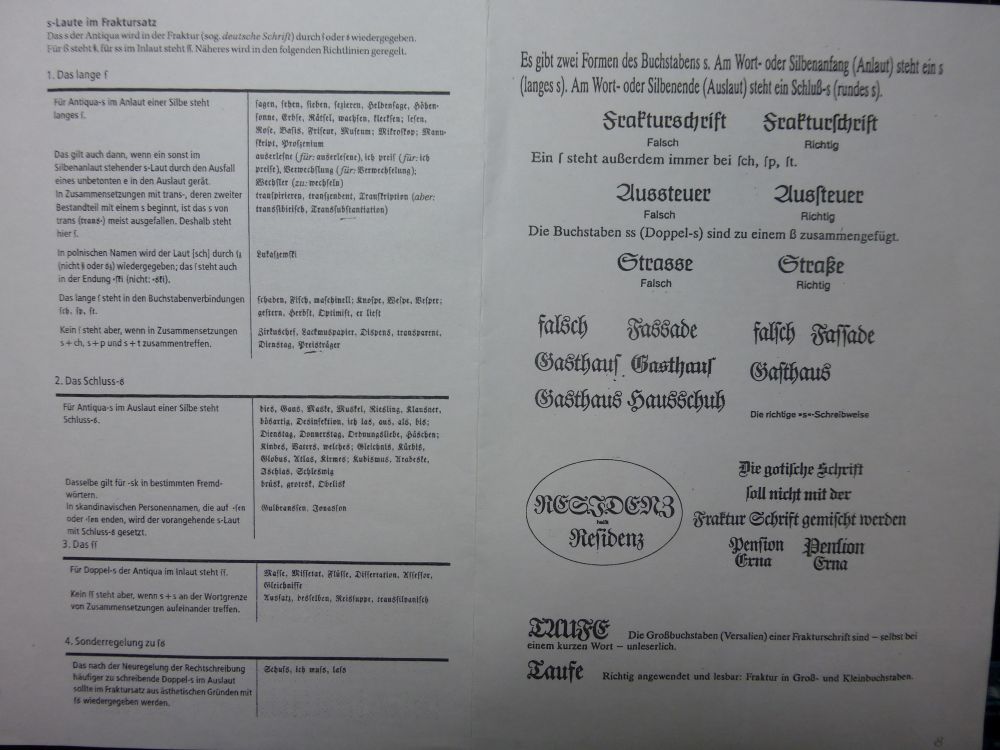 P1010850.jpg