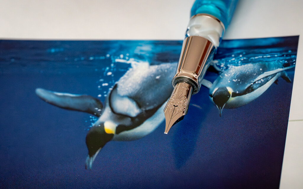 Visconti Opera Master Antarctica-5.jpg