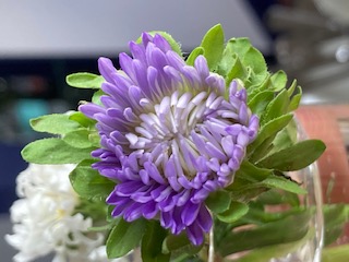 IMG_5175.jpeg