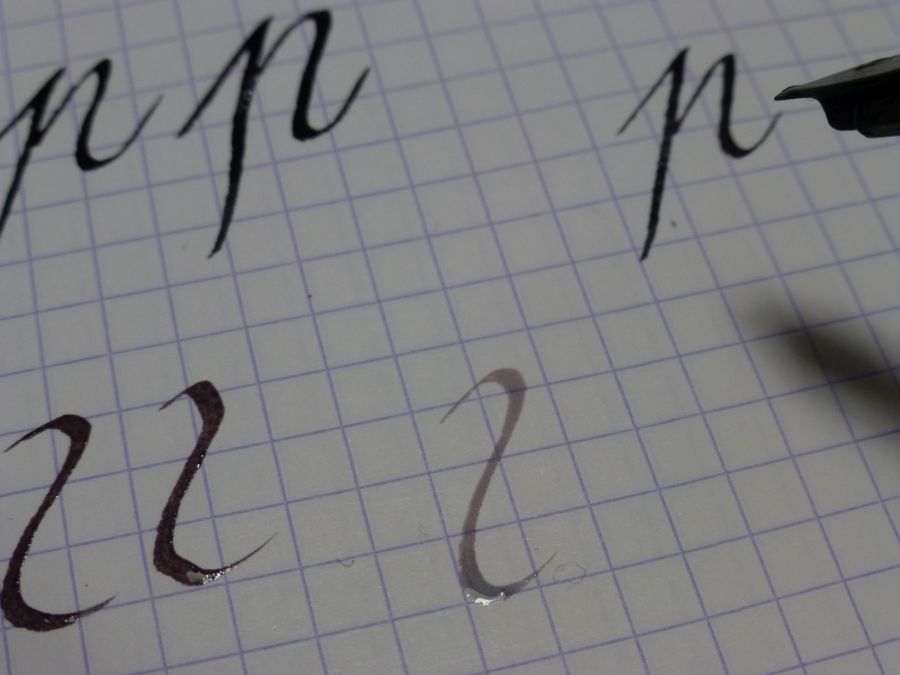 P1010865.jpg