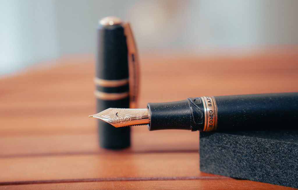 Visconti HS Bronze Fine Nib-3.jpg