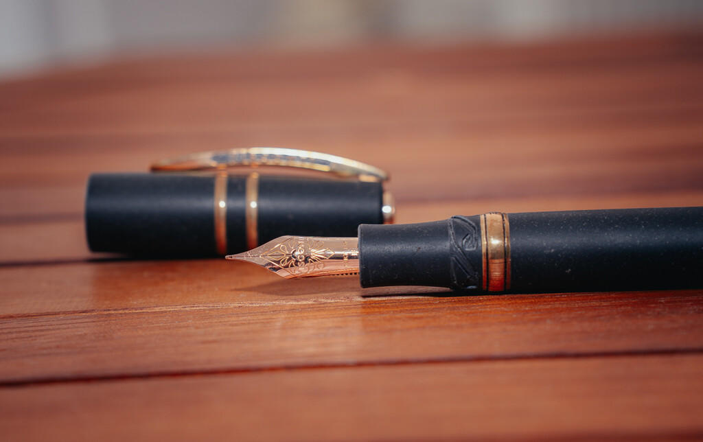 Visconti HS Bronze Medium Nib-4.jpg