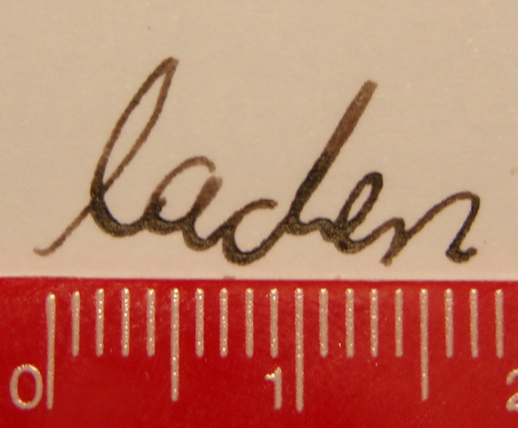 Altbraun_Blackbird.JPG