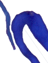 de Atramentis - Pangong Tso unten