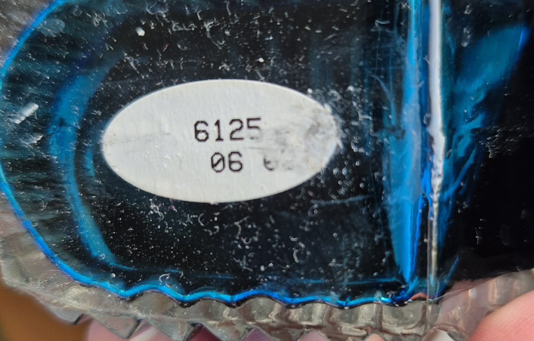 1000021921.jpg