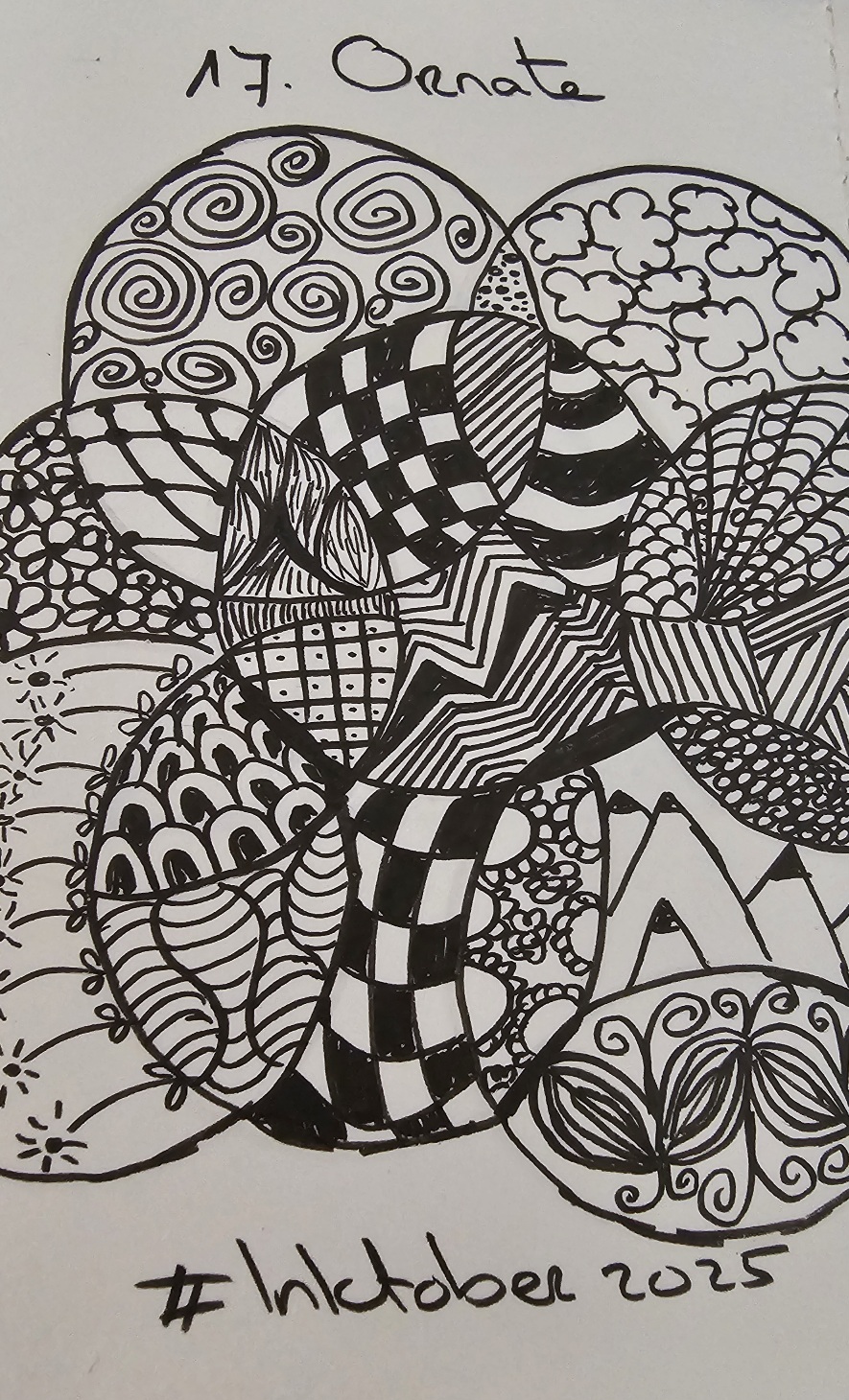 20251002_160954.jpg
