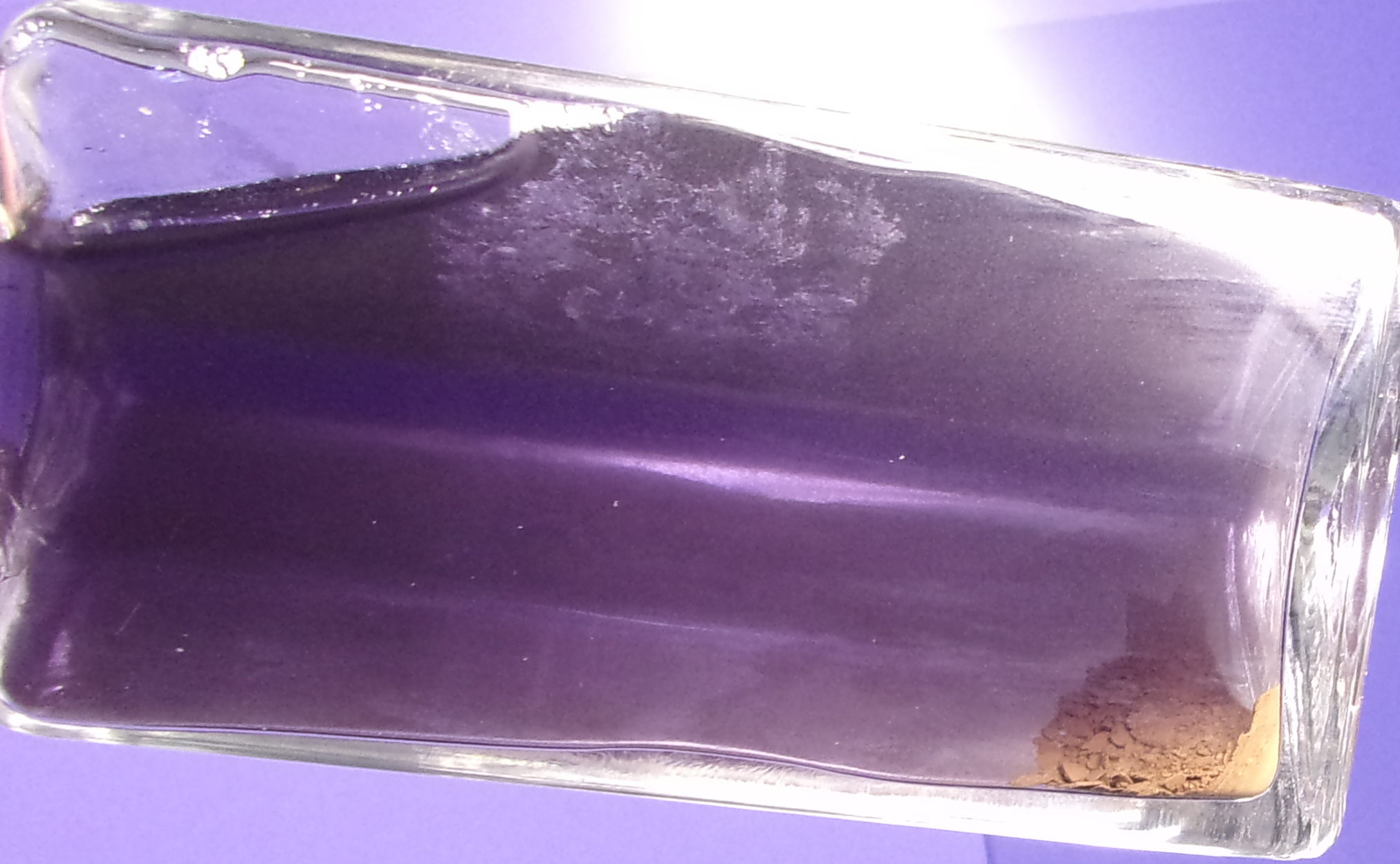 Gerbsäureausfällung 2.JPG