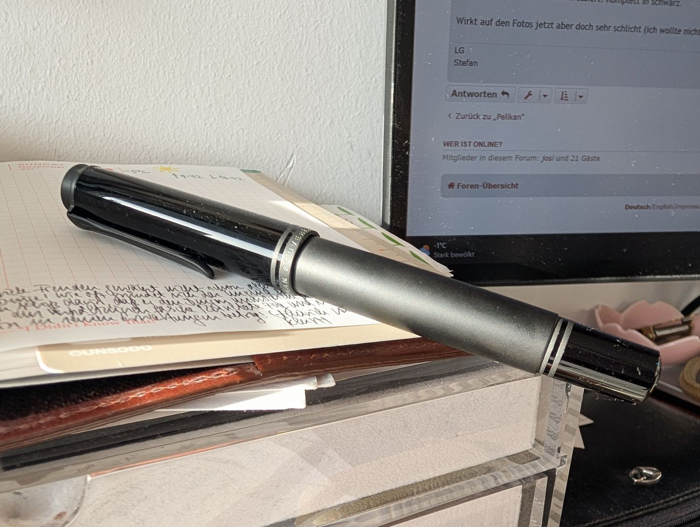 Füller und Tinten_001_6.jpg