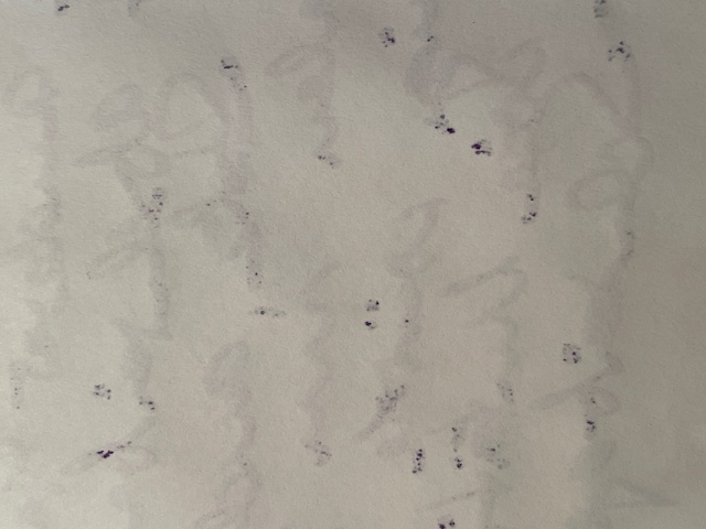 Sanzen 02 Nahaufnahme.JPG