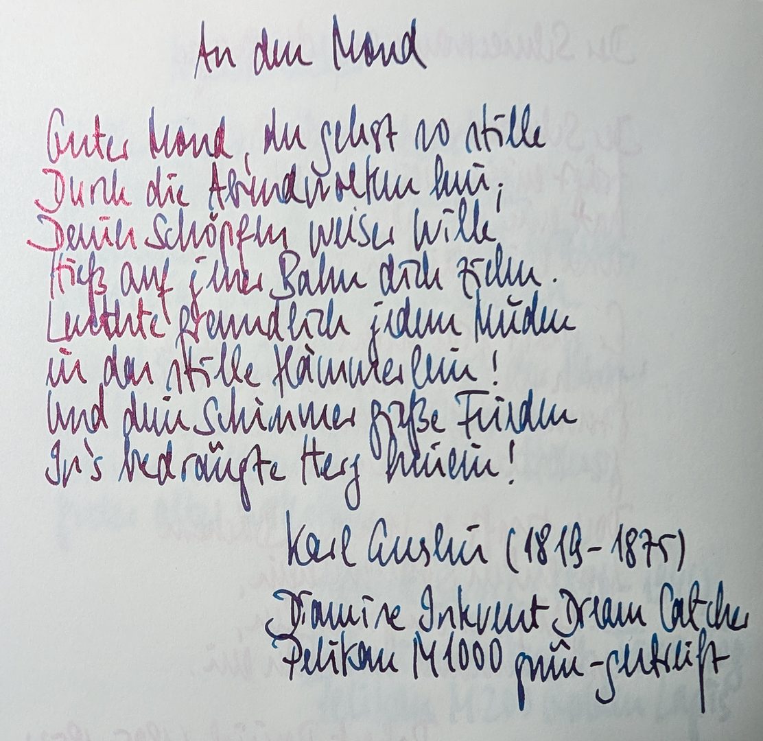 2025 Diamine Inkvent_019.jpg