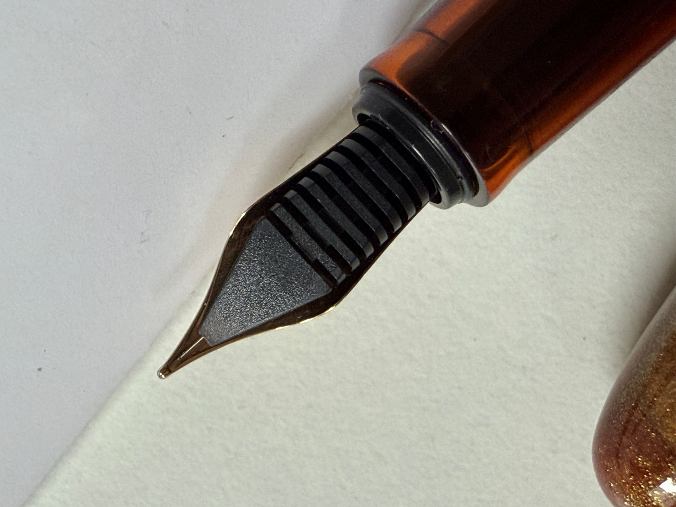 Benu Feder unten.JPG