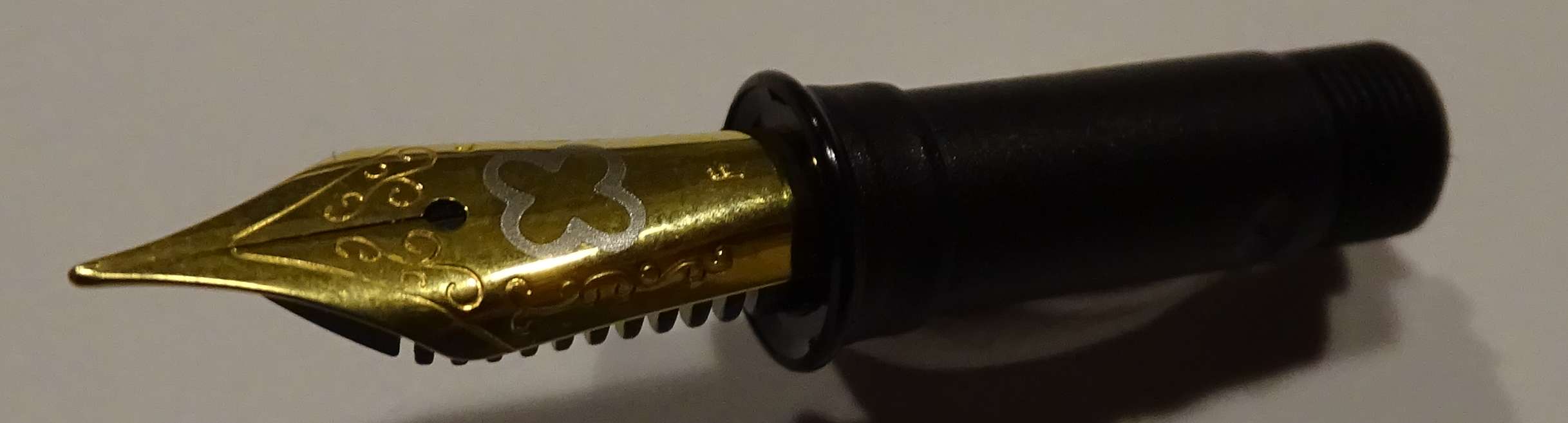 Feder Esterbrook.jpg