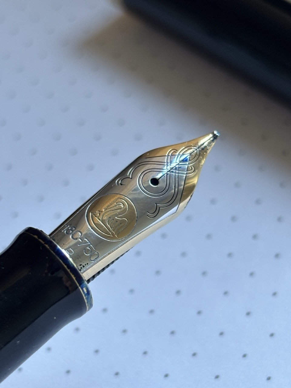 Groß (IMG_1280).jpeg