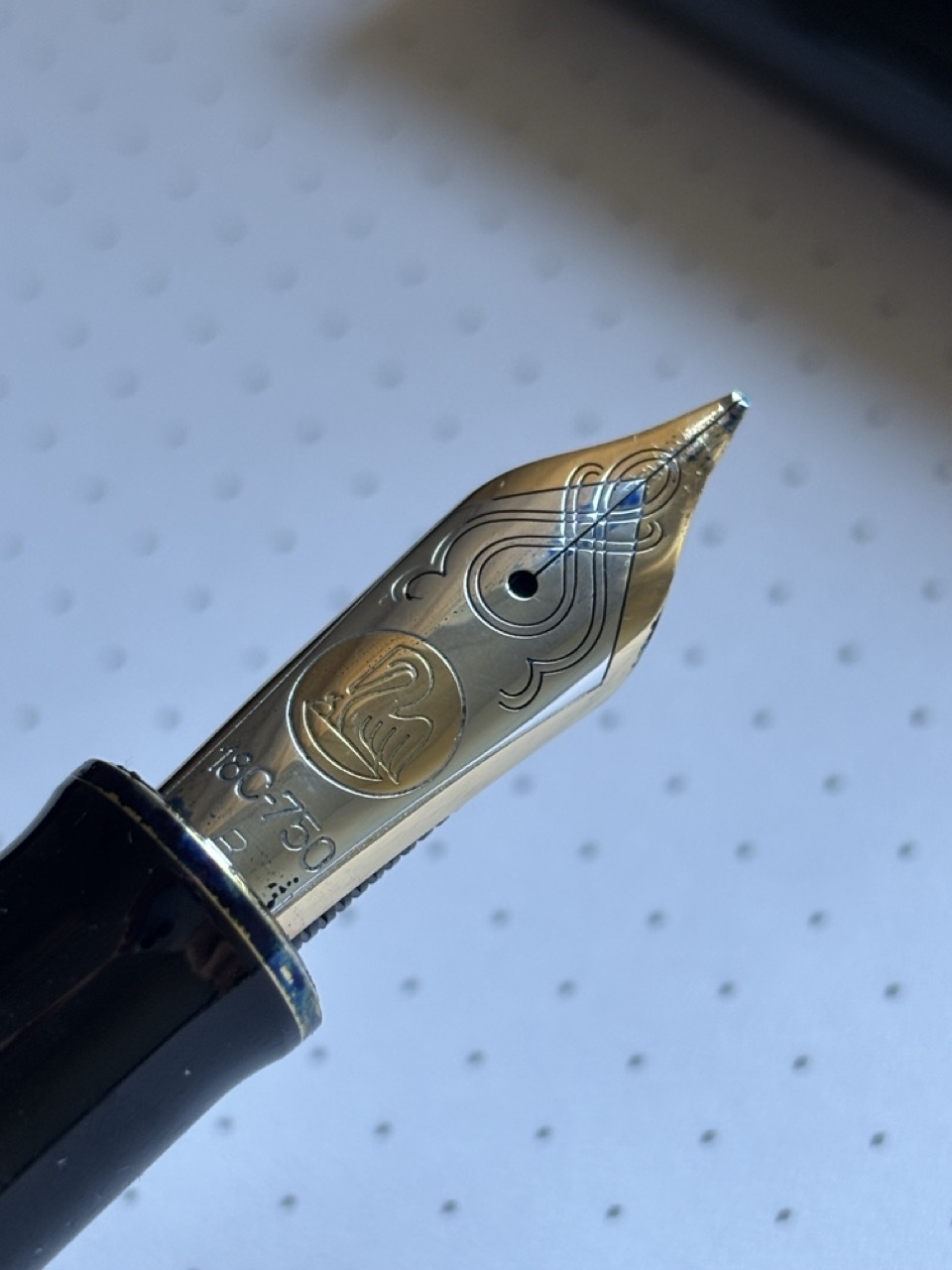 Groß (IMG_1281).jpeg