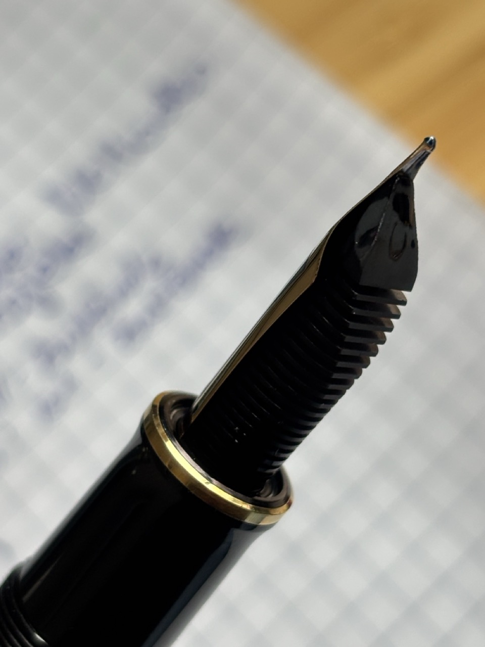 Groß (IMG_1414).jpeg