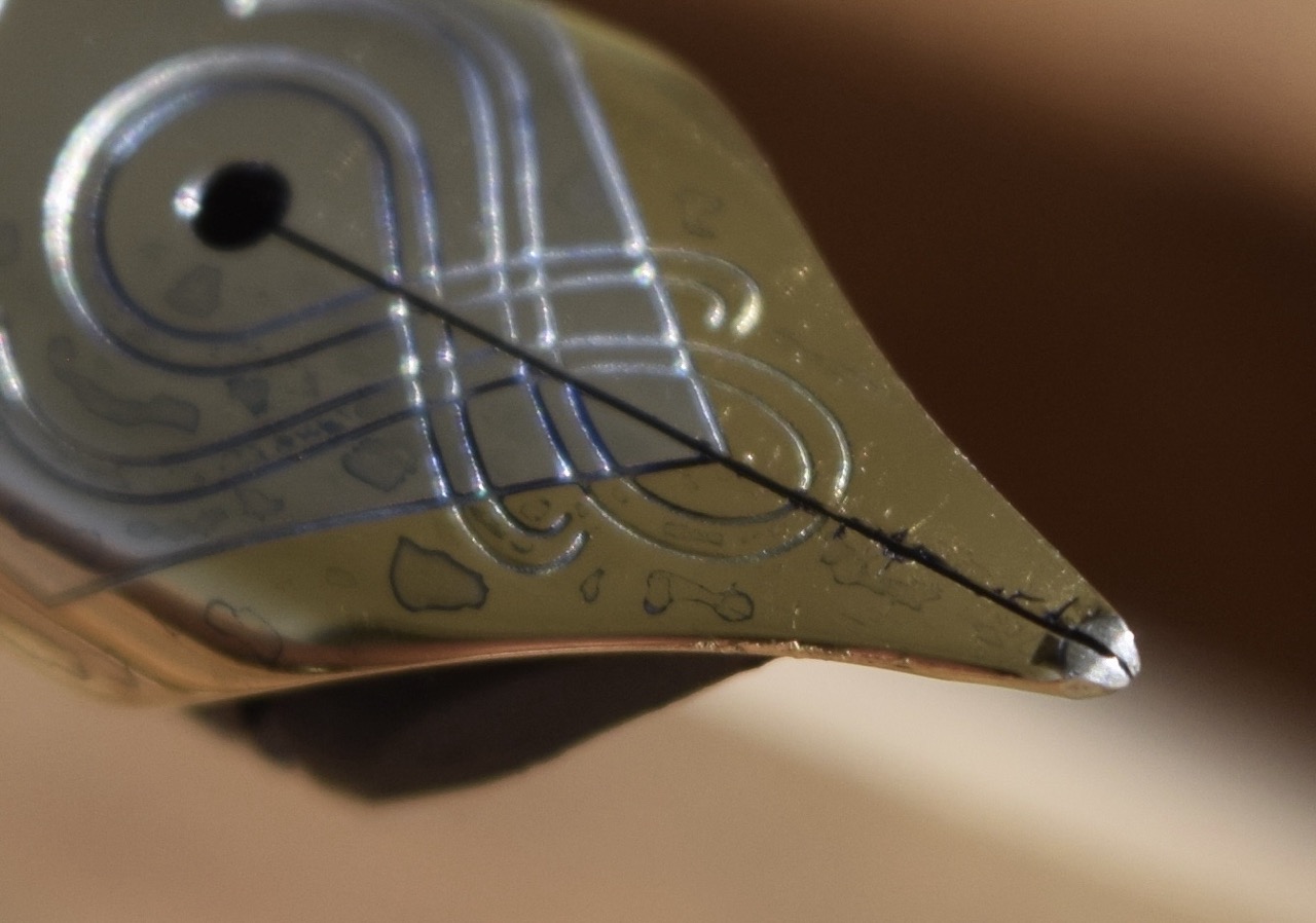 Groß (IMG_1559).jpeg