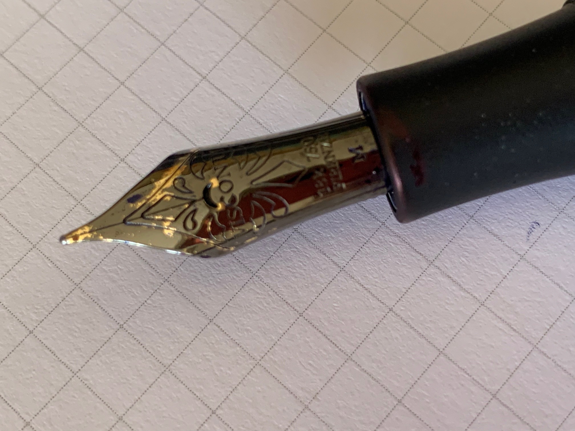 visconti_nib.jpeg