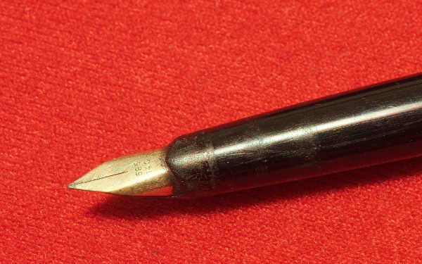 Pelikan3.jpg
